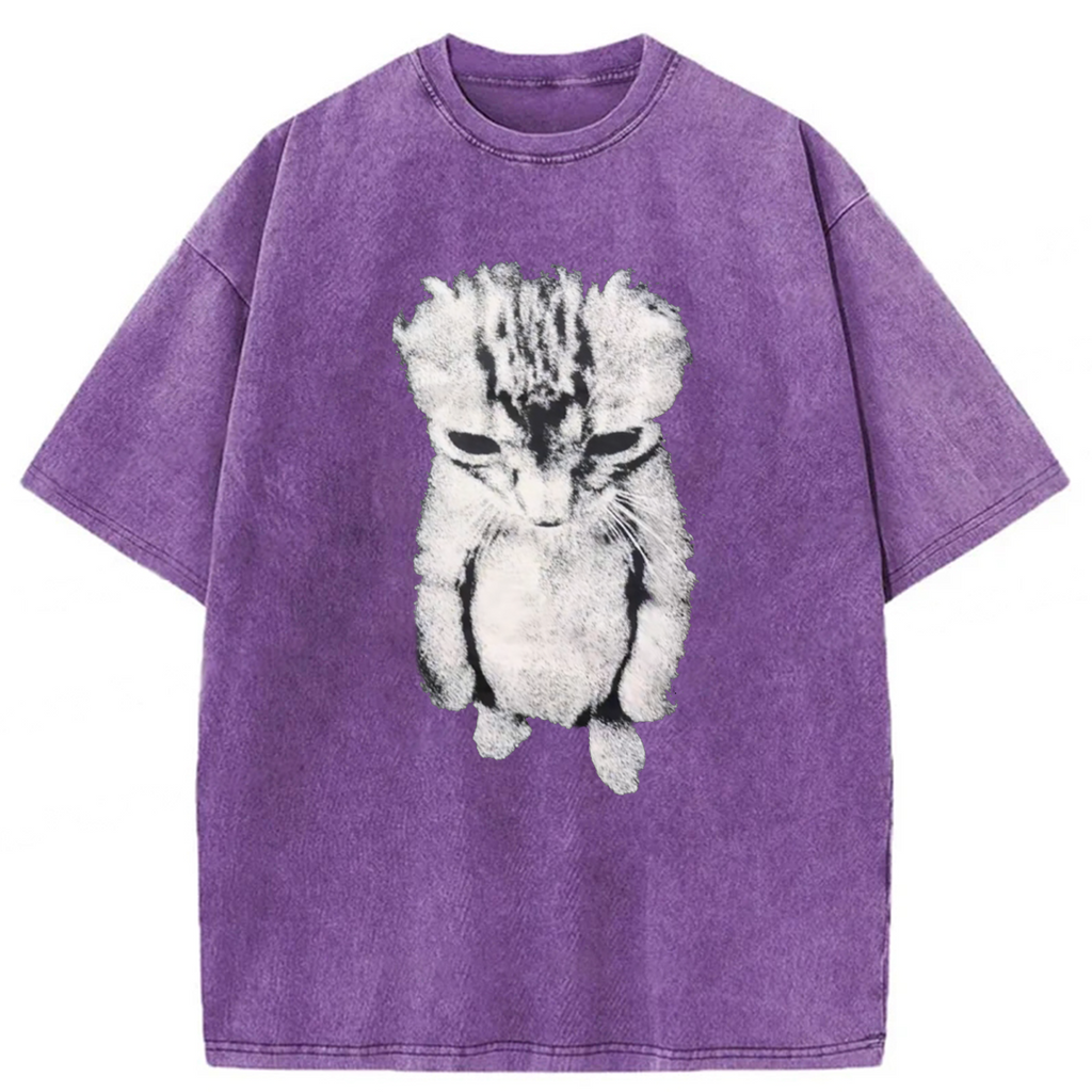 bbb Sad Crying Cat Meme Washed T-shirt