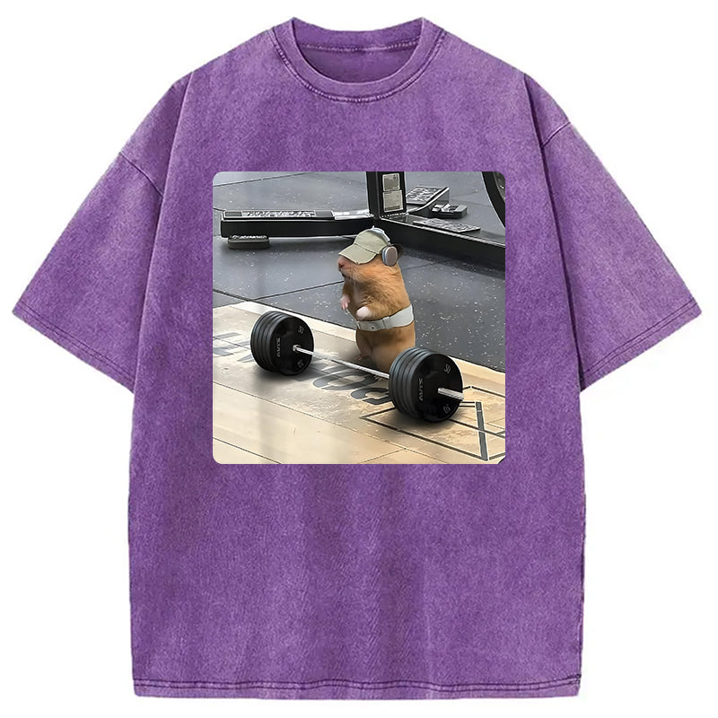 bbb Funny Cute Rat Weightlifting Meme Washed T-Shirt