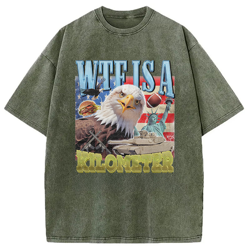 bbb Funny Eagle Meme Washed T-Shirt
