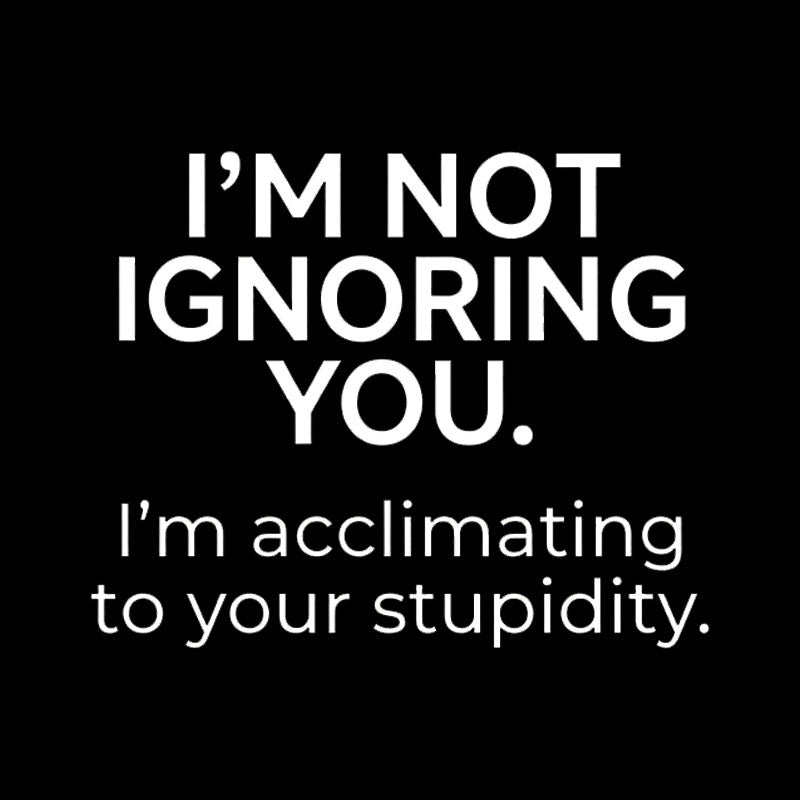 I'm Not Ignoring You  T-Shirt