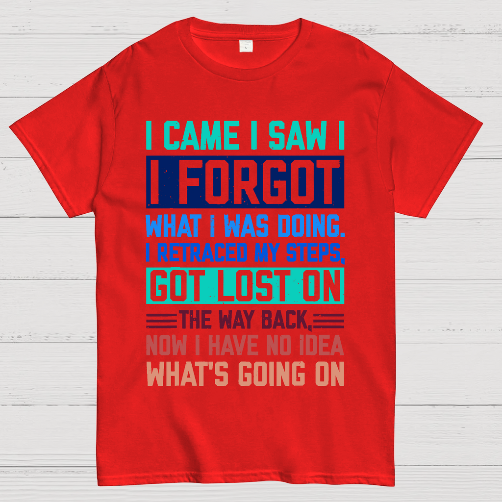 I Came I Saw I Forgot What I Was Doing Sarcastic  T-Shirt