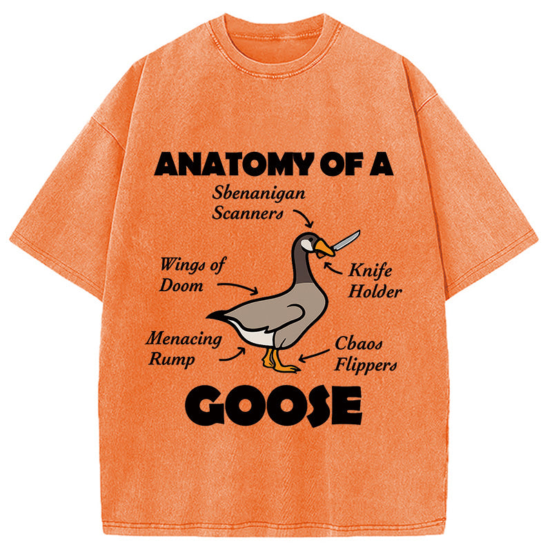 bbb Anatomy of A Goose Washed T-Shirt