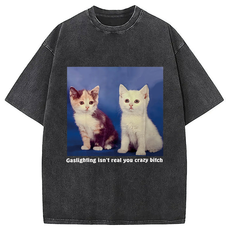 bbb Gaslighting Isn't Real You Crazy Bit*h Washed T-Shirt