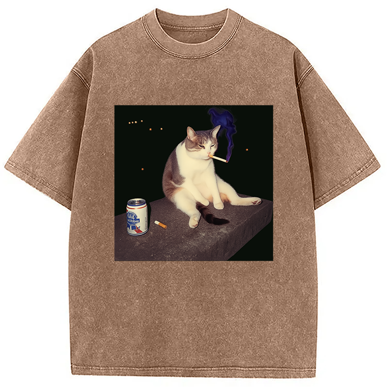 bbb Cigarette Kitten Funny Smoking Cat Meme Washed T-Shirt