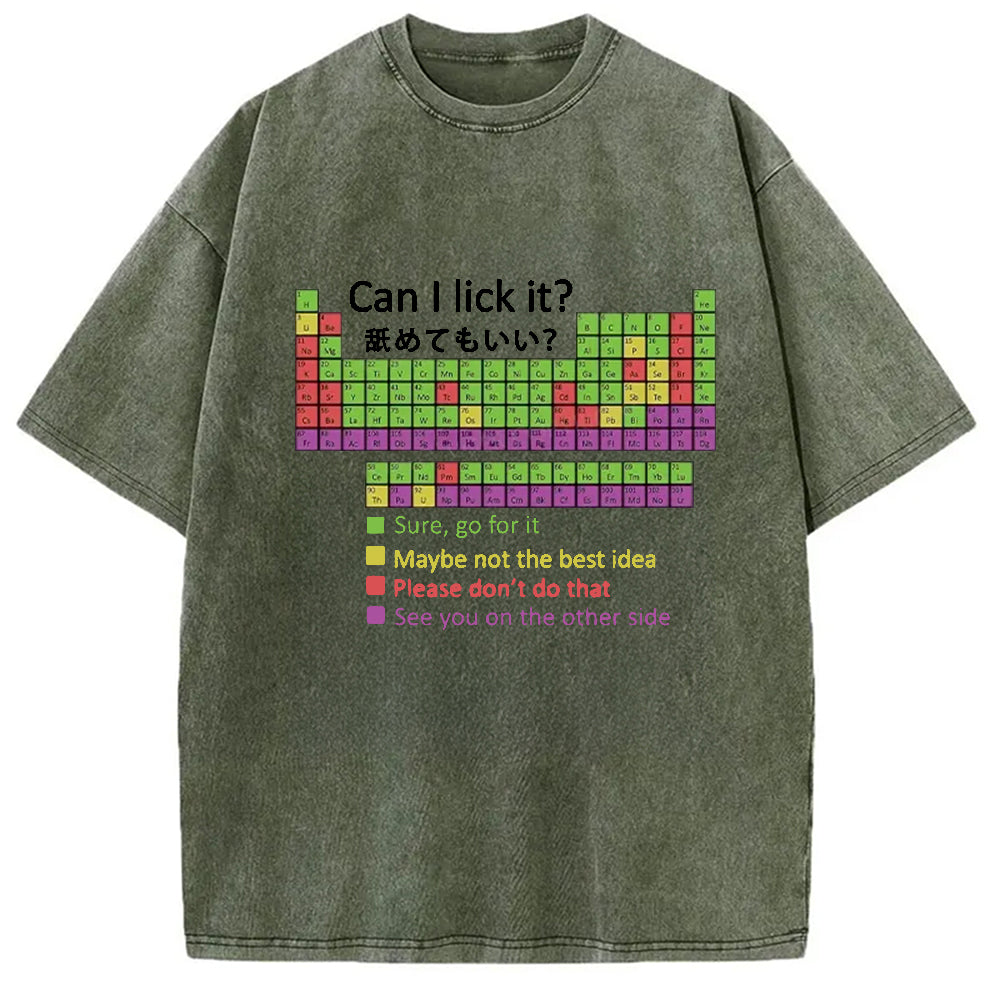 bbb Can I Lick It Washed T-Shirt