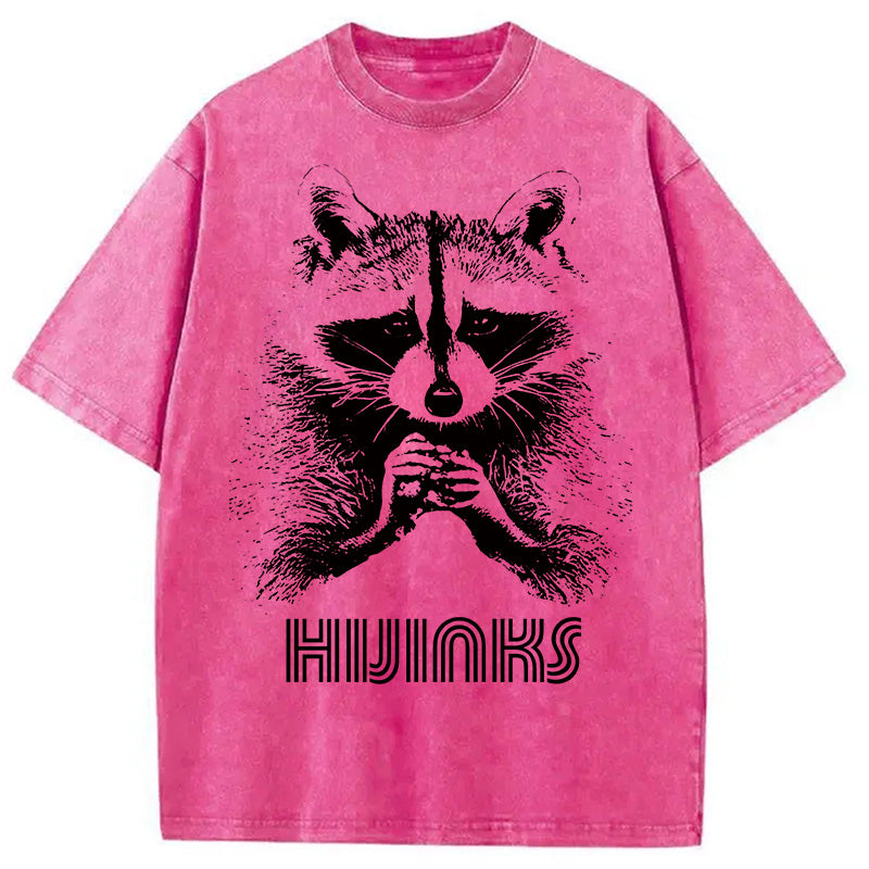 bbb Raccoon Hijinks Washed T-Shirt