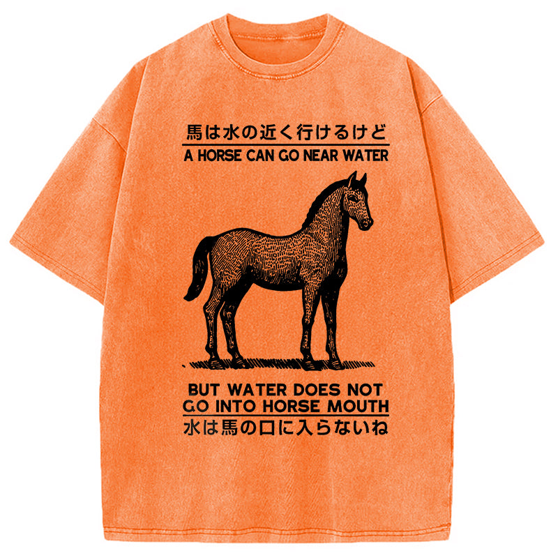 bbb Funny Horse And Water Saying Washed T-Shirt