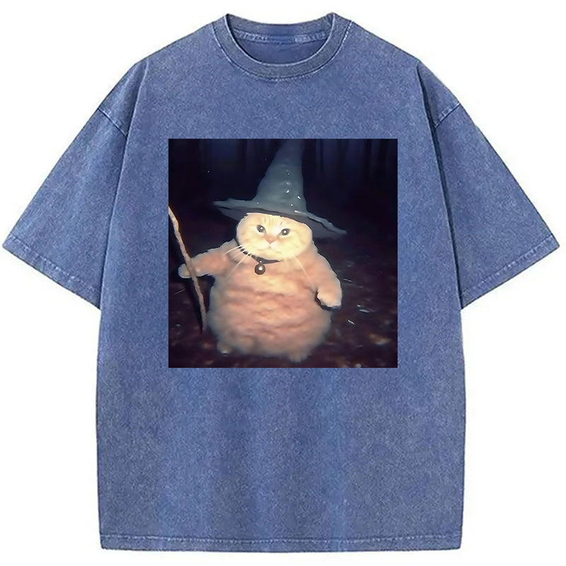 bbb Wizard Cat Funny Halloween Washed T-Shirt
