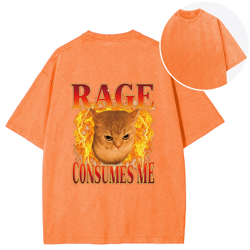 bbb Rage Consumes Me Edgy Funny Cat Meme Back Washed T-Shirt