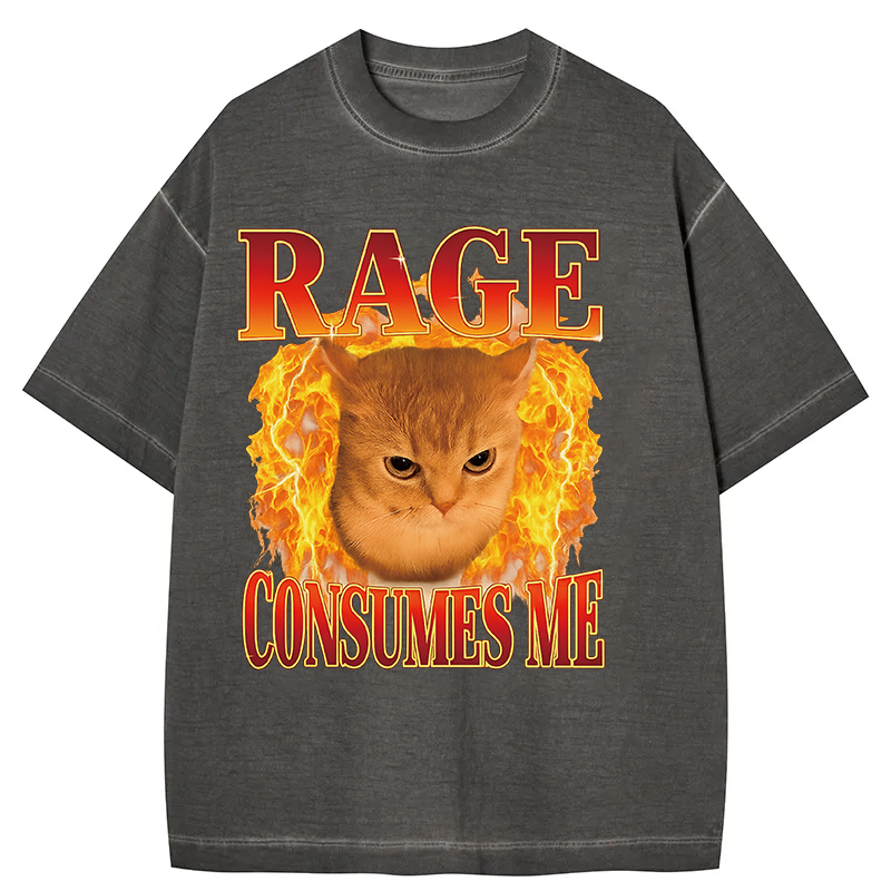 bbb Rage Consumes Me Edgy Funny Cat Meme Gradient Washed T-Shirt