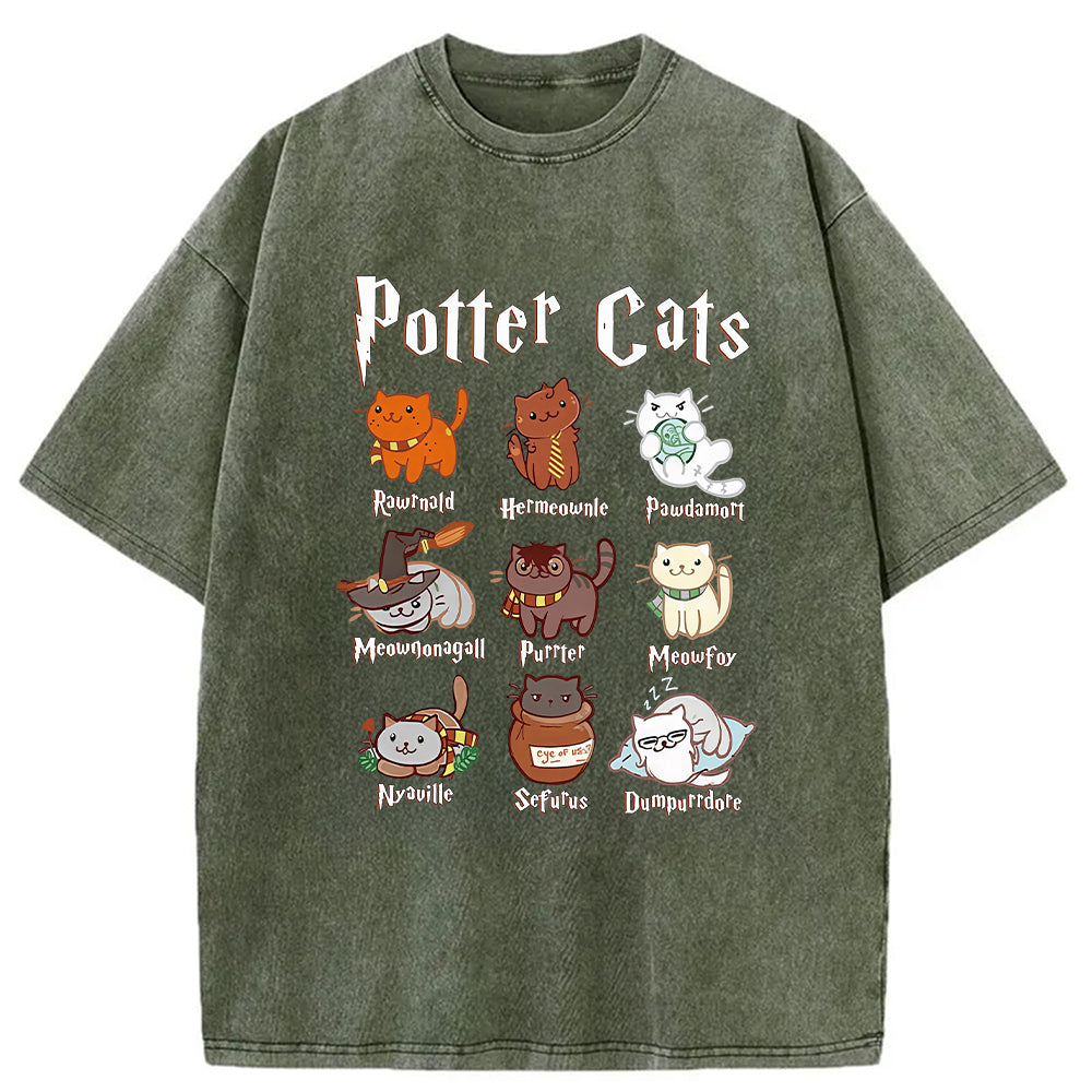 bbb Wizard Cats Washed T-Shirt