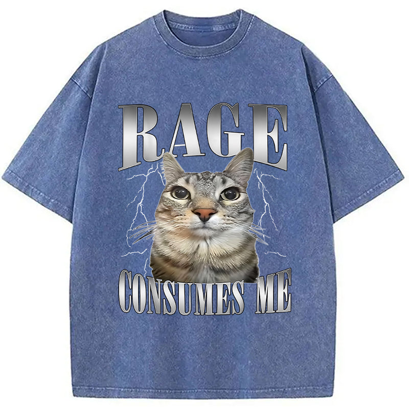 bbb Rage Consumes Me Funny Cat Washed T-Shirt