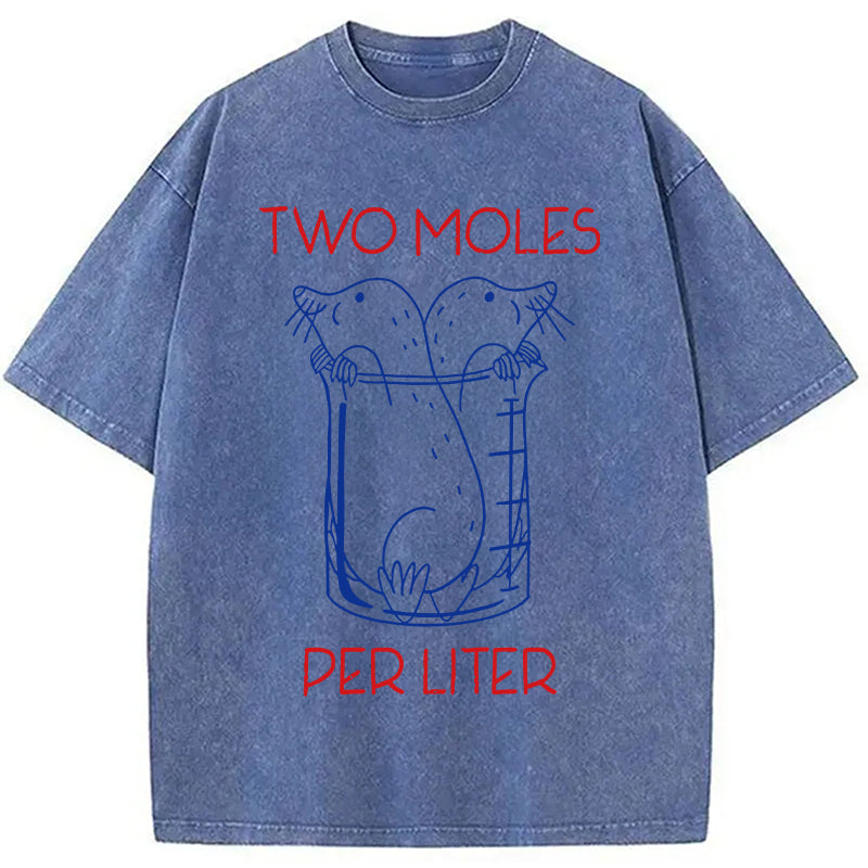 bbb Two Moles Per Liter Washed T-Shirt