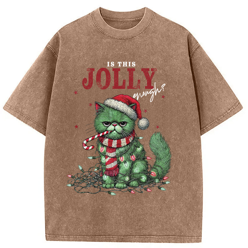 bbb Christmas Gift Washed T-Shirt