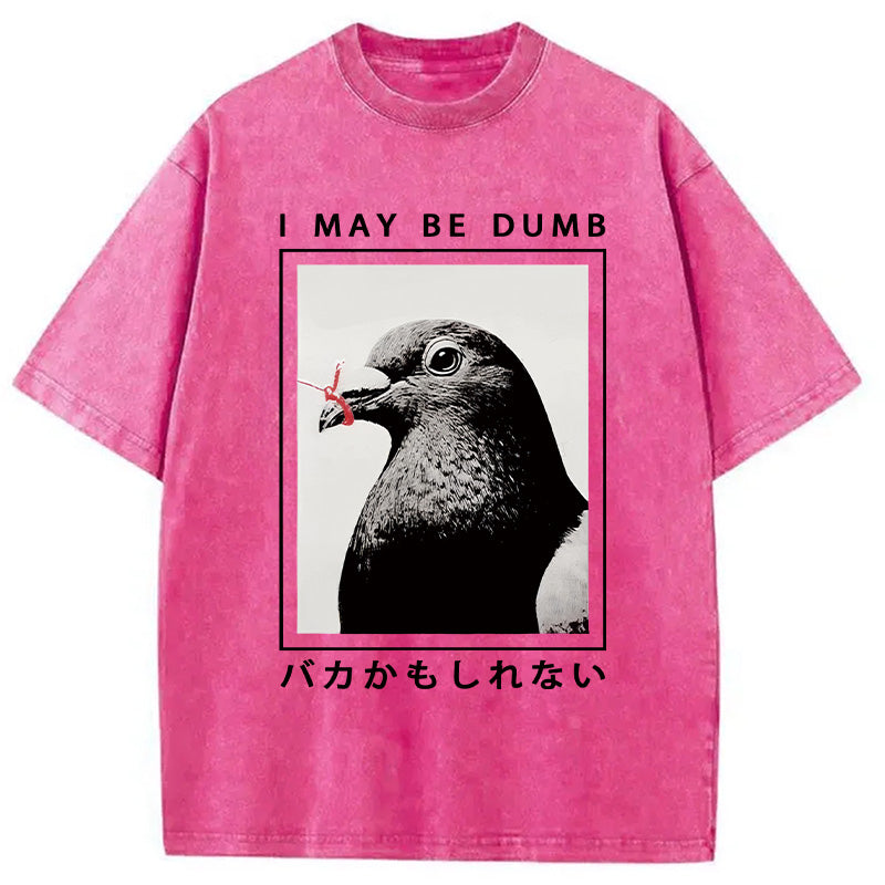 bbb I May Be Dumb Funny Washed T-Shirt