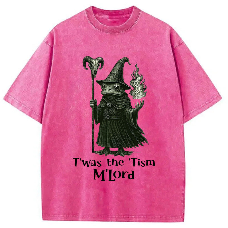 bbb Witch Frog Washed T-Shirt