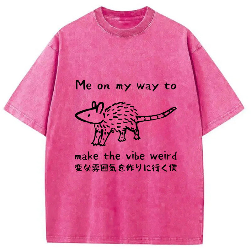 bbb Making The Vibe Weird Washed T-Shirt