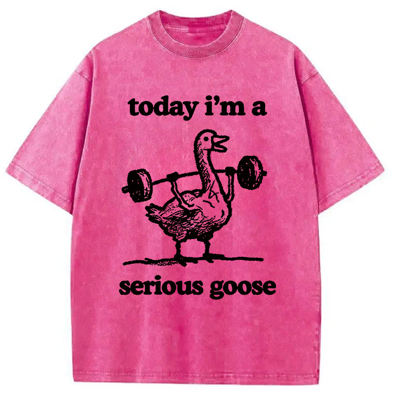 bbb Fitness Goose Washed T-Shirt