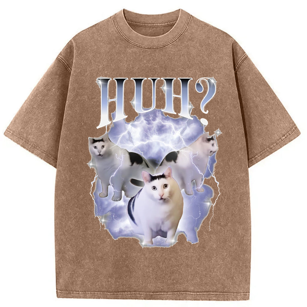 bbb Huh Cat Chonky Ben Meme Washed T-Shirt