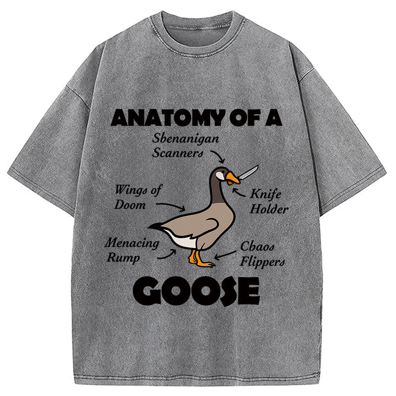 bbb Anatomy of A Goose Washed T-Shirt