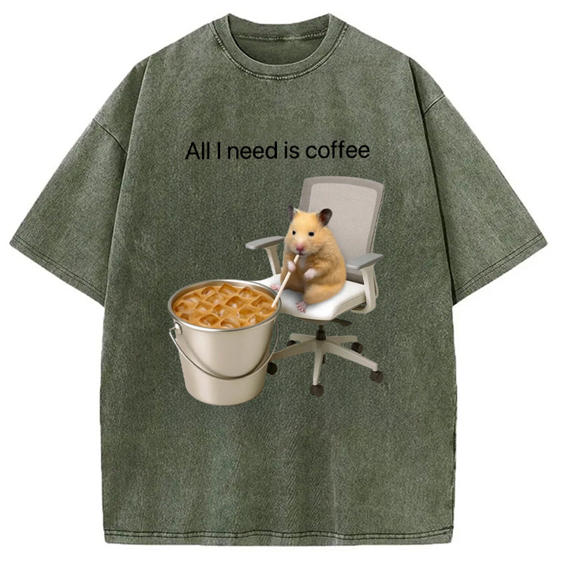bbb All I Need Is Coffee Meme Washed T-Shirt