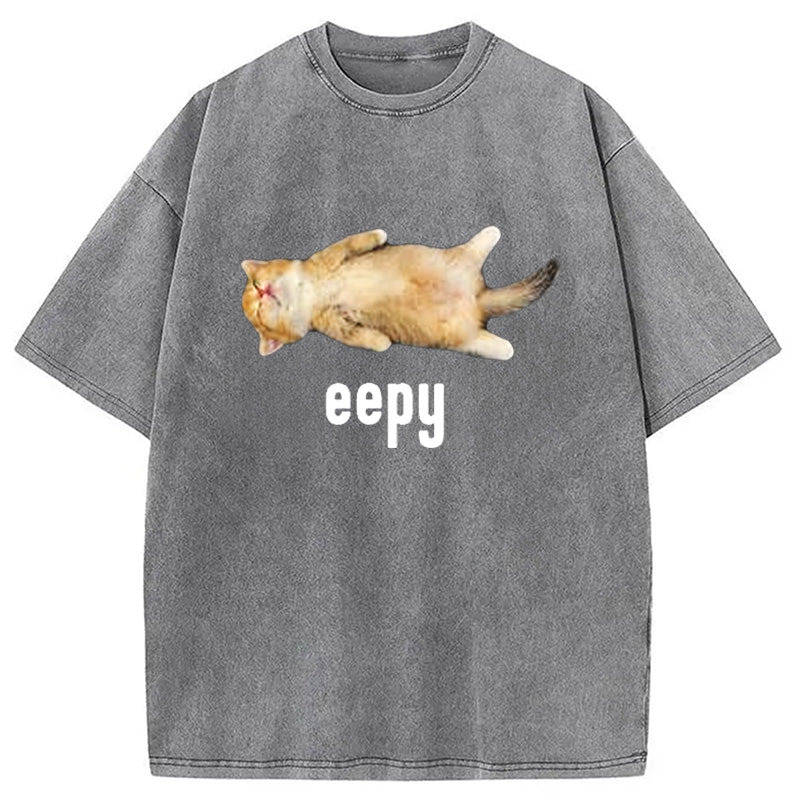 bbb Silly Sleepy Cat Meme Washed T-Shirt