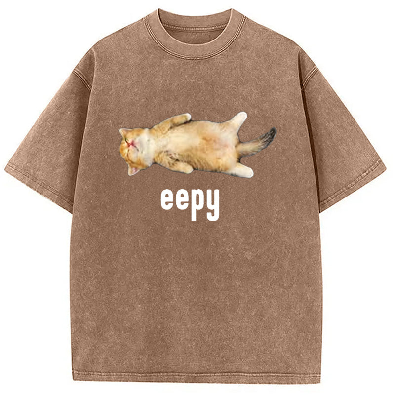 bbb Silly Sleepy Cat Meme Washed T-Shirt
