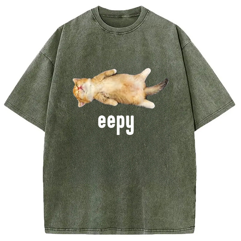 bbb Silly Sleepy Cat Meme Washed T-Shirt
