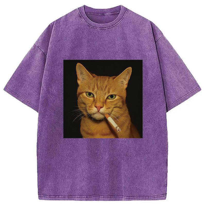bbb Funny Orange Cat Smoking Meme Washed T-Shirt
