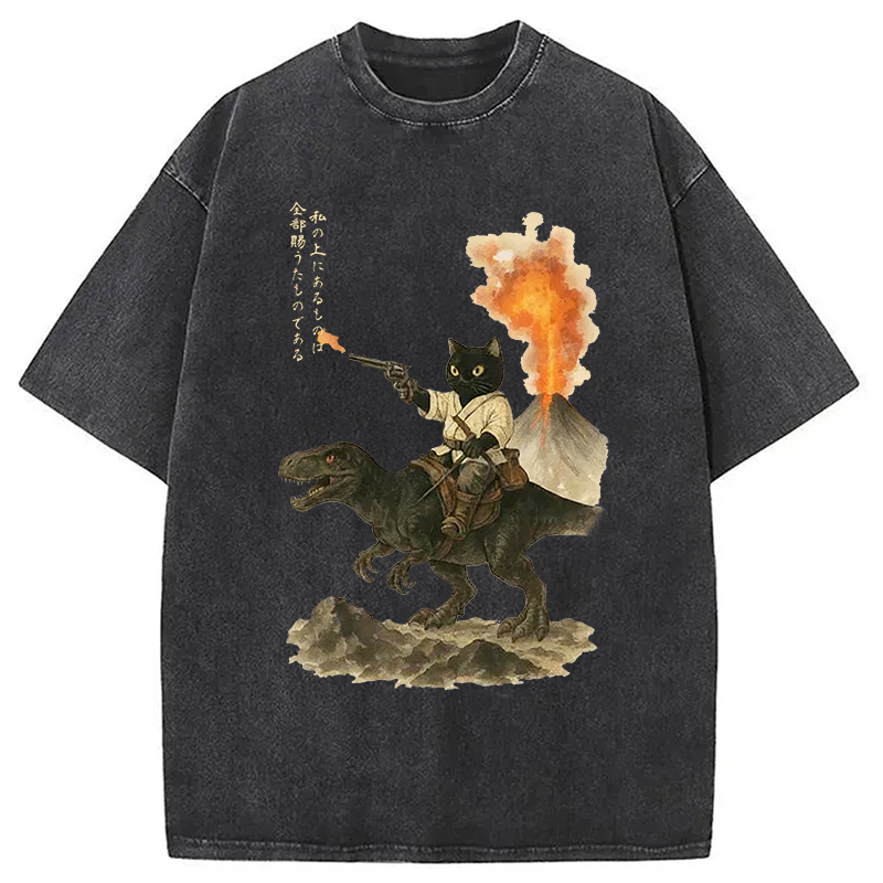 bbb Cat Riding A Dinosaur Washed T-Shirt