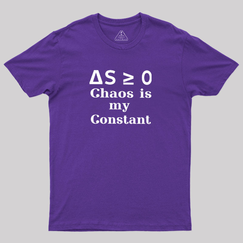 ΔS≥0  T-Shirt