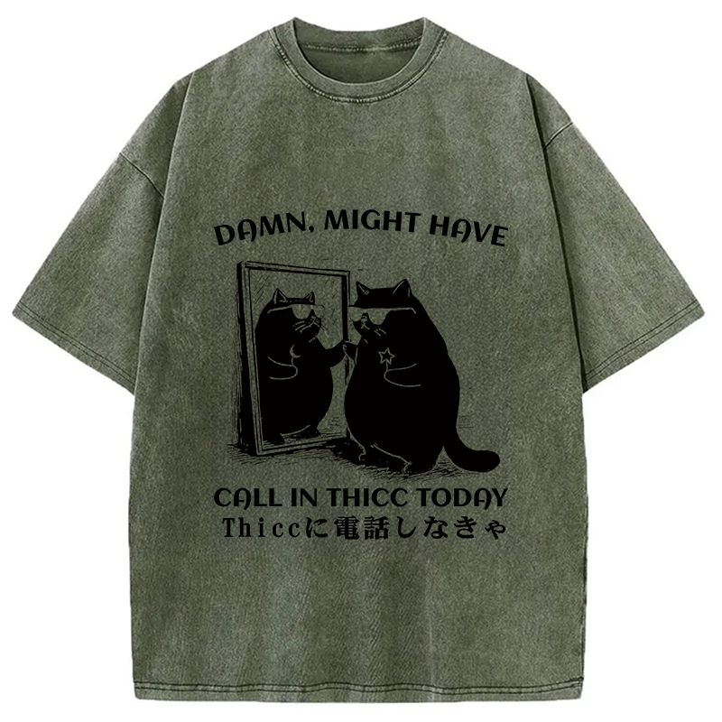 bbb Black Cat Admiring Himself Washed T-Shirt