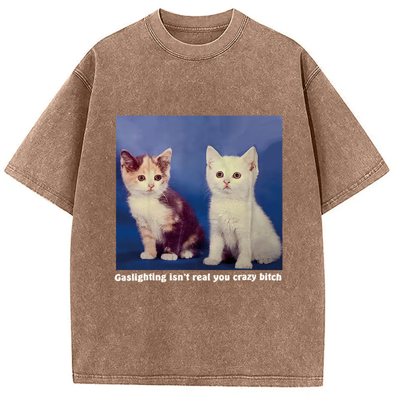 bbb Gaslighting Isn't Real You Crazy Bit*h Washed T-Shirt