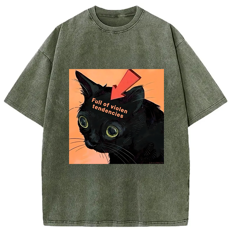 bbb Full of Violen Tendencies Washed T-Shirt