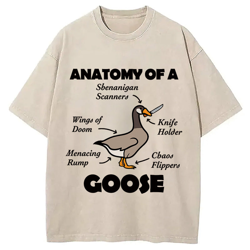bbb Anatomy of A Goose Washed T-Shirt
