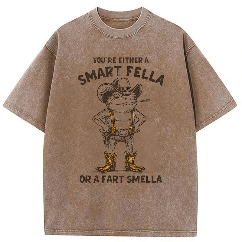 bbb Smart Fella Or Fart Smella Retro Cartoon Frog Washed T-shirt