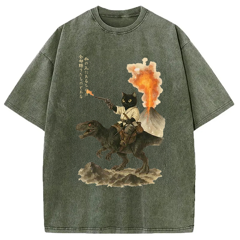 bbb Cat Riding A Dinosaur Washed T-Shirt