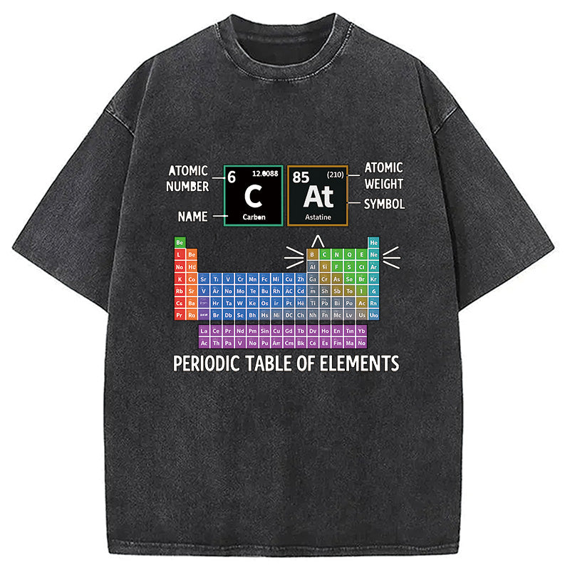 bbb Cat Periodic Table Chemistry Washed T-Shirt