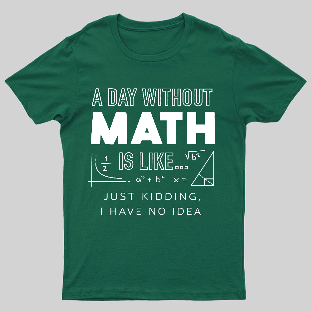 A Day Without Math Is Like y T-Shirt