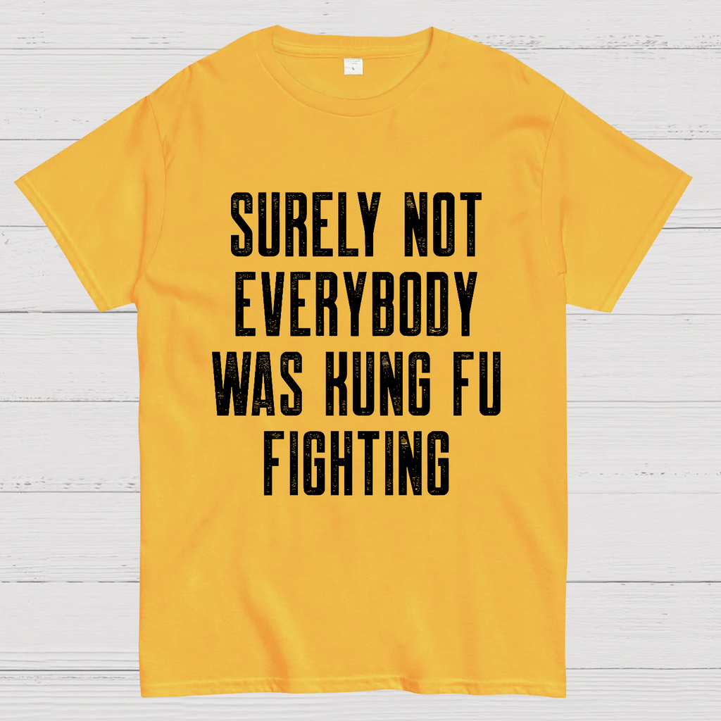Surely Not everybody was kung fu fighting  T-Shirt