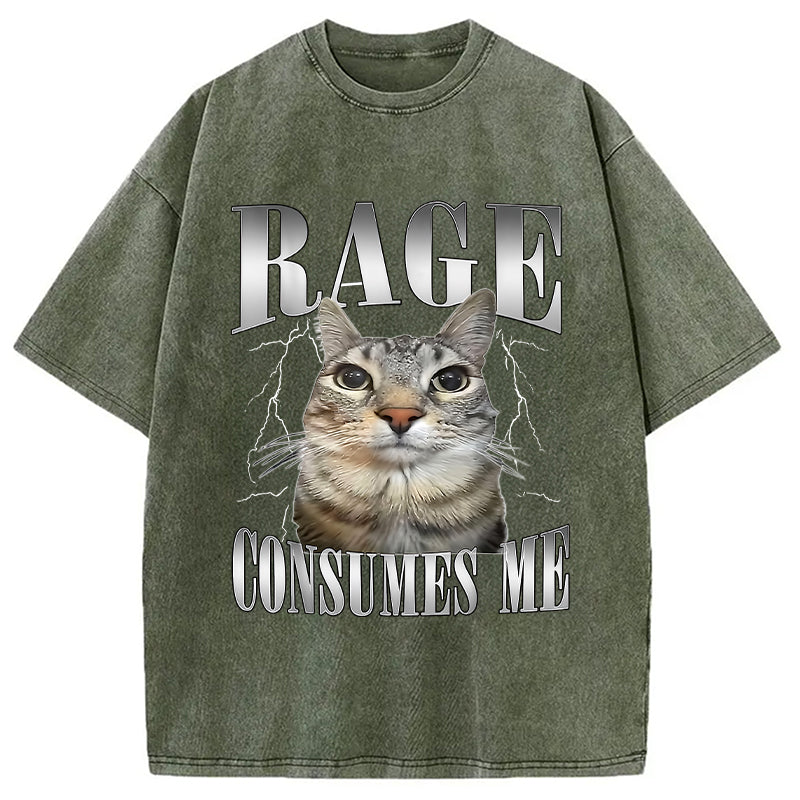 bbb Rage Consumes Me Funny Cat Washed T-Shirt