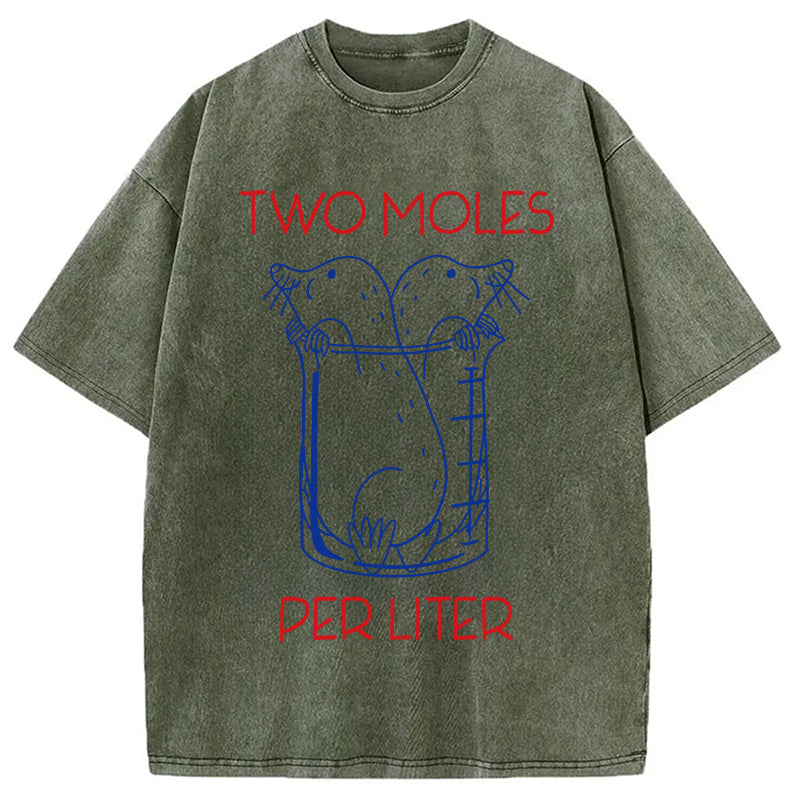 bbb Two Moles Per Liter Washed T-Shirt
