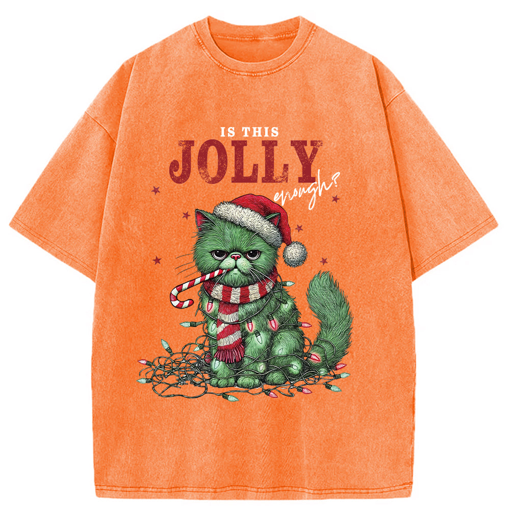 bbb Christmas Gift Washed T-Shirt