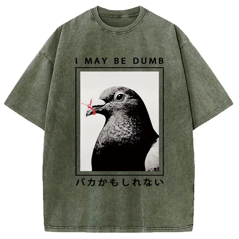 bbb I May Be Dumb Funny Washed T-Shirt