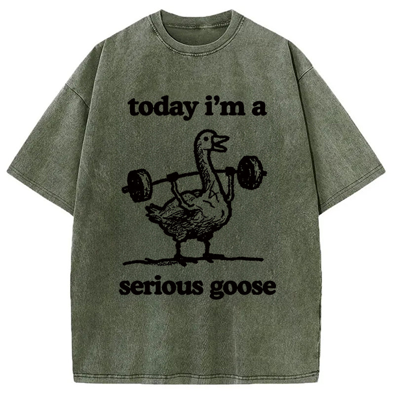 bbb Fitness Goose Washed T-Shirt