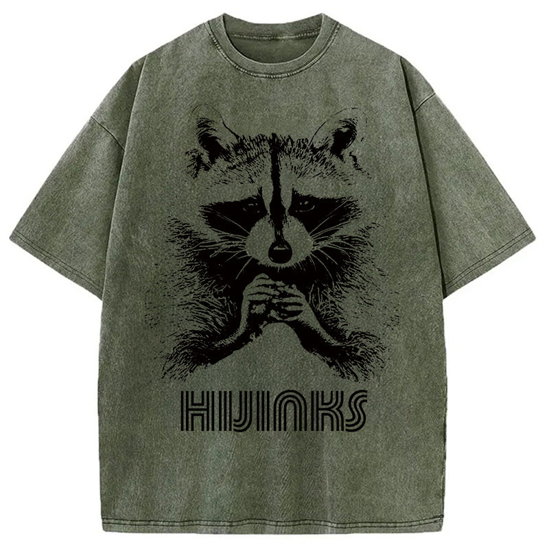 bbb Raccoon Hijinks Washed T-Shirt