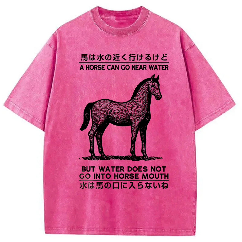bbb Funny Horse And Water Saying Washed T-Shirt