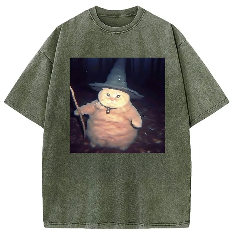 bbb Wizard Cat Funny Halloween Washed T-Shirt