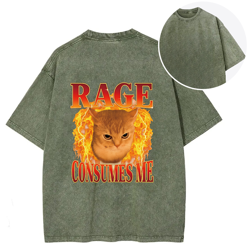 bbb Rage Consumes Me Edgy Funny Cat Meme Back Washed T-Shirt