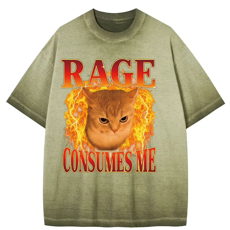 bbb Rage Consumes Me Edgy Funny Cat Meme Gradient Washed T-Shirt